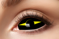 Sclera 6 Monatskontaktlinsen Yellow Spaer