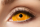 Sclera 6 Monatskontaktlinsen Orange Eye