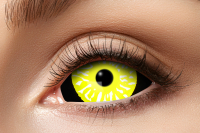 Sclera 6 Monatskontaktlinsen Black Yellow